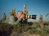 Africa 113 : Africa, Animal, Botswana, Makgadikgadi, Mammal, Meerkat, People, Thomas Vogelsang